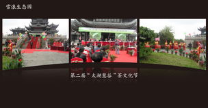 第二届太湖慧谷茶文化节 共赴一场茶香四溢的文化盛宴